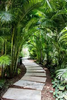 Beautiful Garden