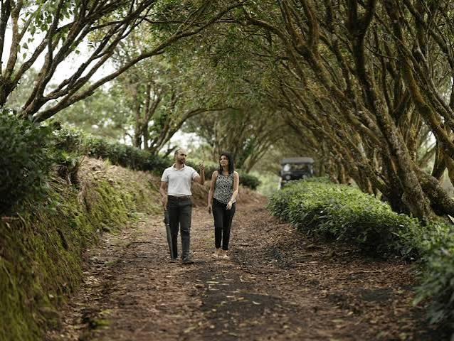 Nature Walk
